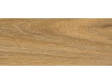 Yorkshire Oak