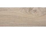 Berlin Elm