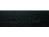 Carbon Zwart