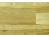 Sapwood