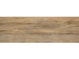 Dutch Elm