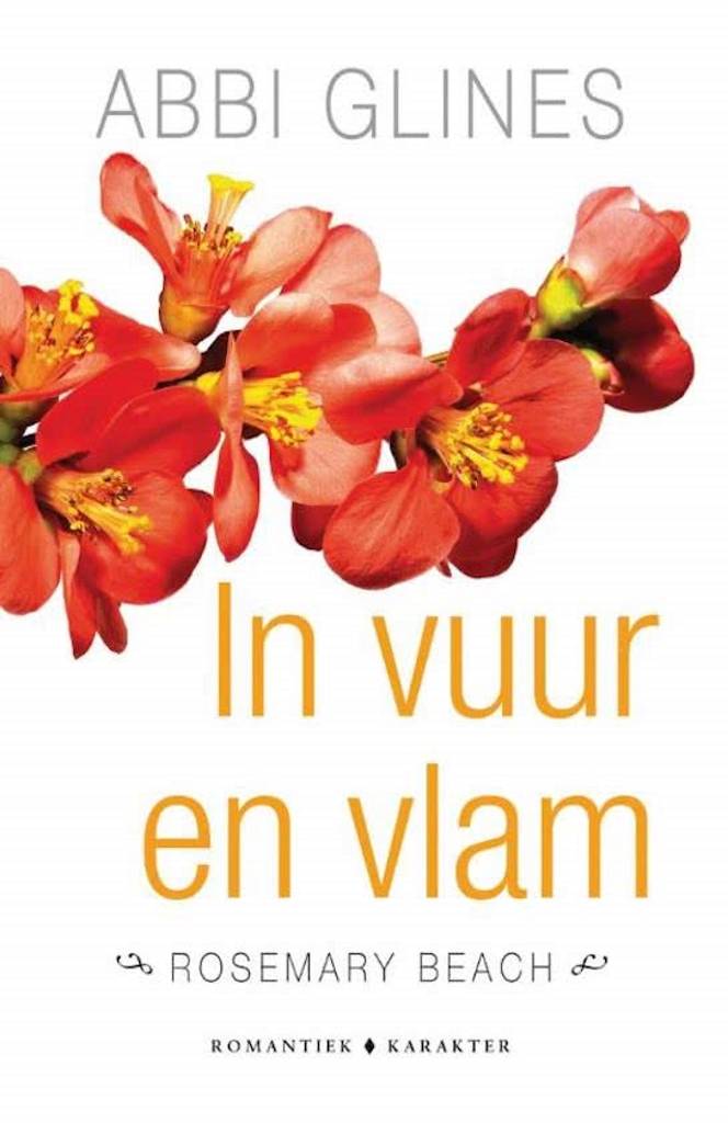 Abbi Glines In Vuur En Vlam abbi glines kopen in de aanbieding