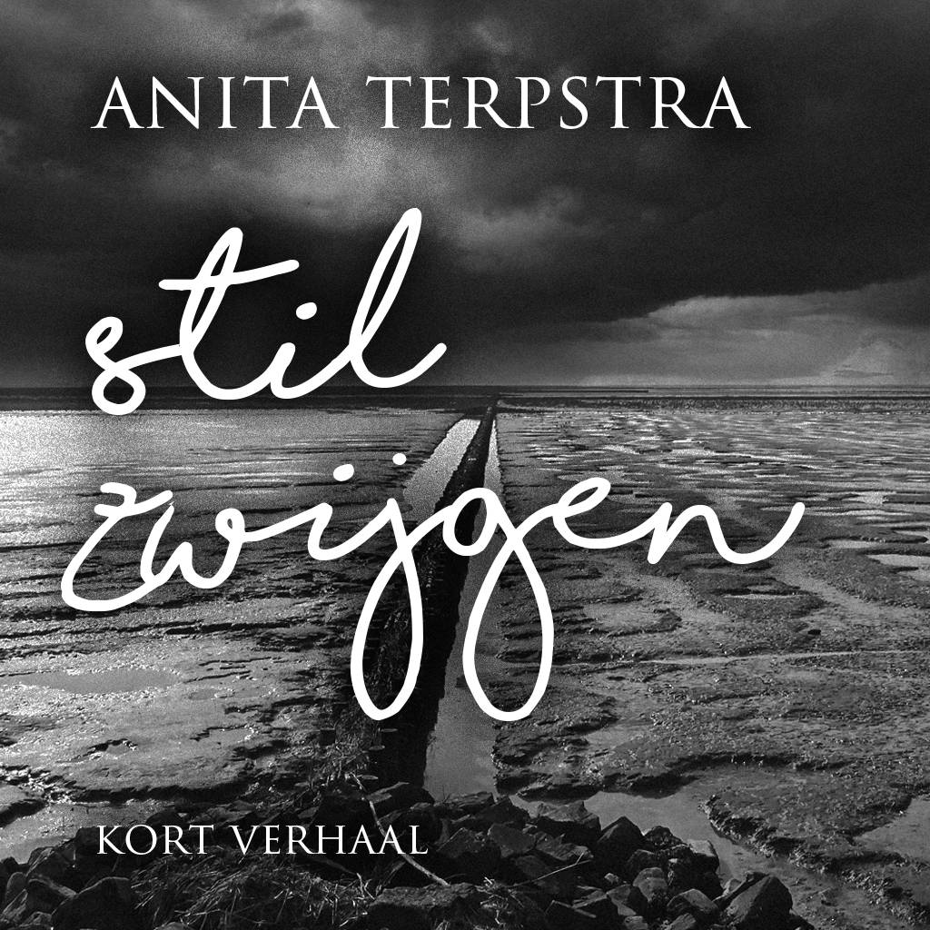 Anita Terpstra Stilzwijgen anita terpstra kopen in de aanbieding