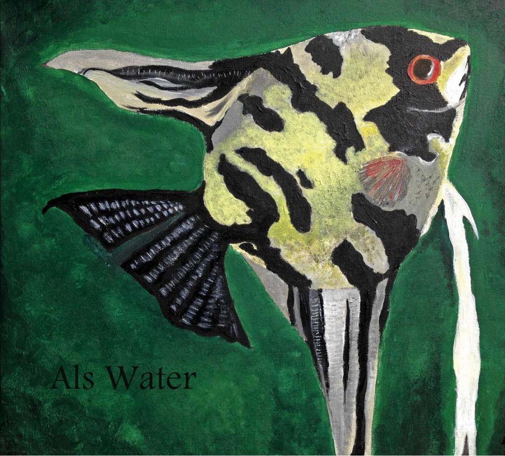 Noor Roelofs Als Water noor roelofs kopen in de aanbieding