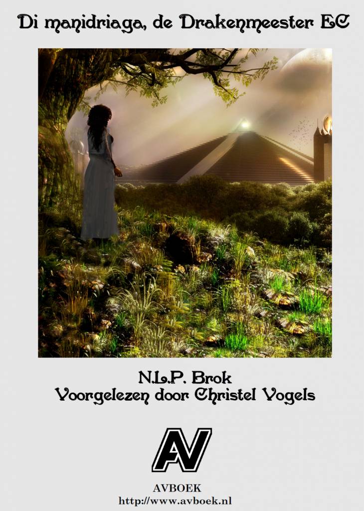 Nick Brok Di Manidriaga De Drakenmeester nick brok kopen in de aanbieding