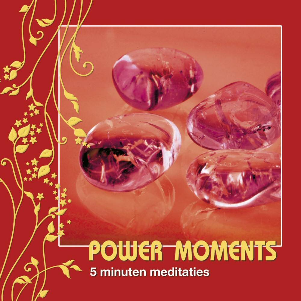 Sylvia Roosendaal Power Moments sylvia roosendaal kopen in de aanbieding Sylvia Roosendaal Power Moments sylvia roosendaal kopen in de aanbieding