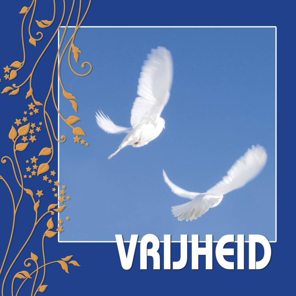 Willem Jan Van De Wetering Vrijheid willem jan van de wetering kopen in de aanbieding Willem Jan Van De Wetering Vrijheid willem jan van de wetering kopen in de aanbieding