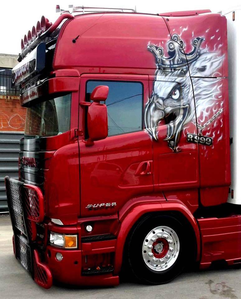 Protection de pare-brise Coles Custom Scania R