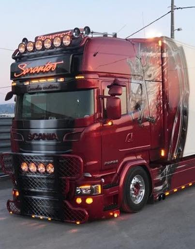 Protection de pare-brise Coles Custom Scania R