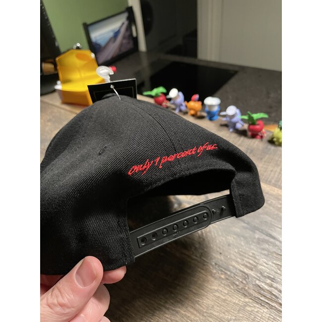 GIS Snapback-Kappe, flach