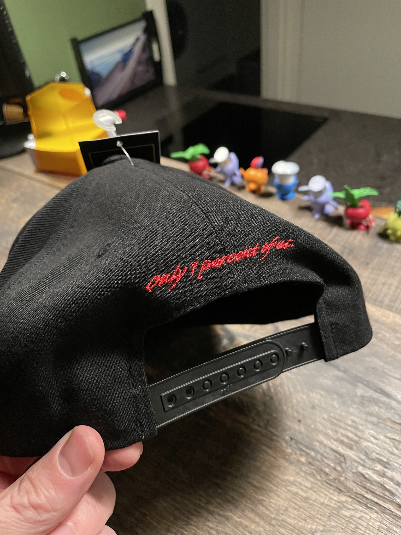 GIS Snapback Cap met een vlakke klep