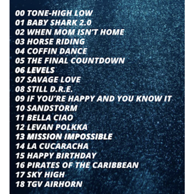 Basuri baby shark 2.0 airhorn 24 V - 19 melodier