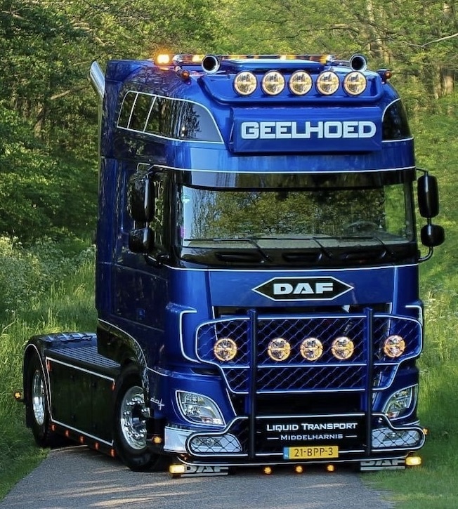 Hypro kængurugitter DAF XF