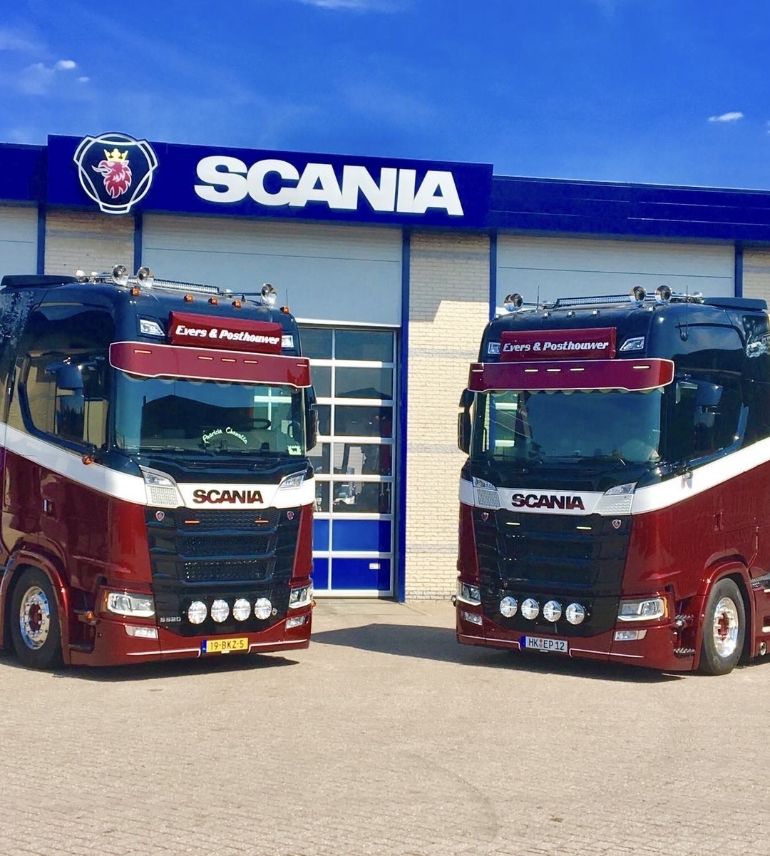 Nedking RVS luchthoorn 75cm