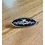 GIS GIS Logo Pin