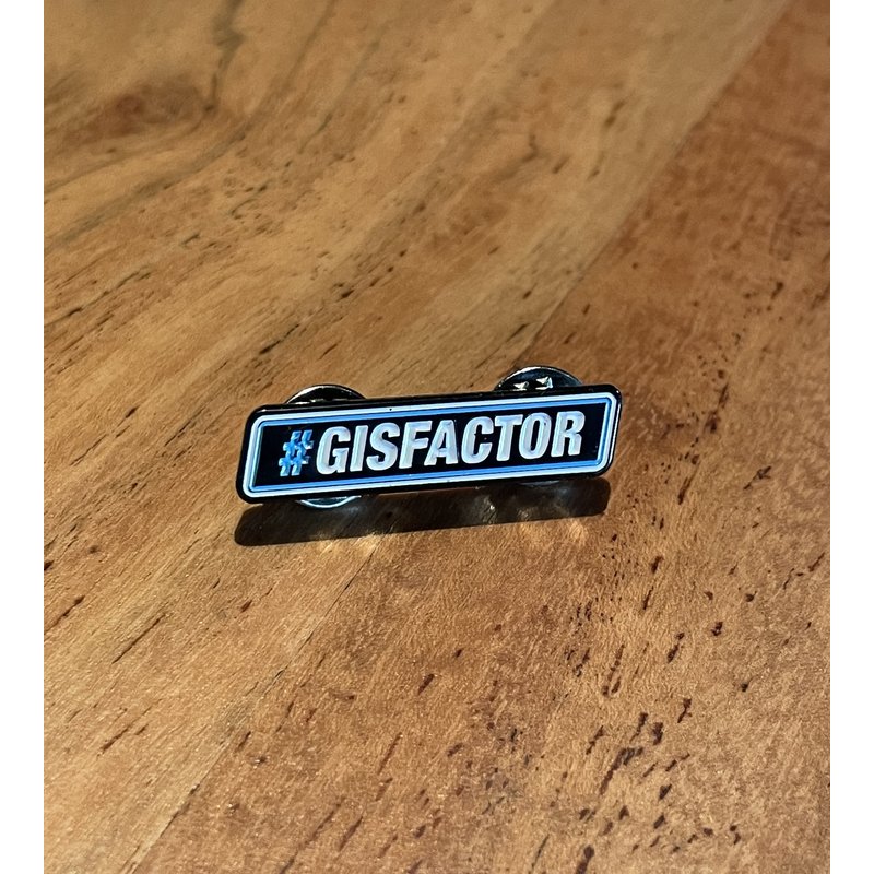 GIS Pin's #GISFACTOR