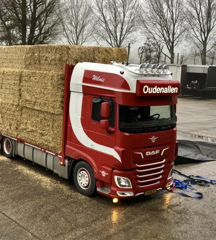 Trux Trux Tagbøjle DAF Super Space Cab