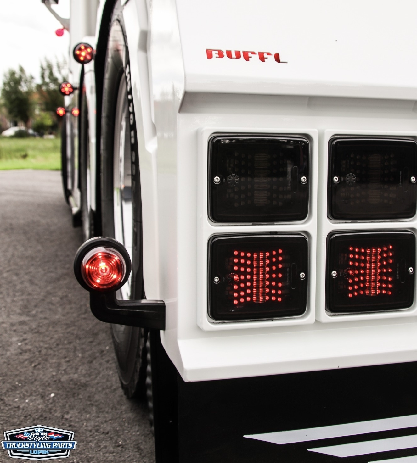 Omnius Omnius slim taillight Frame Double