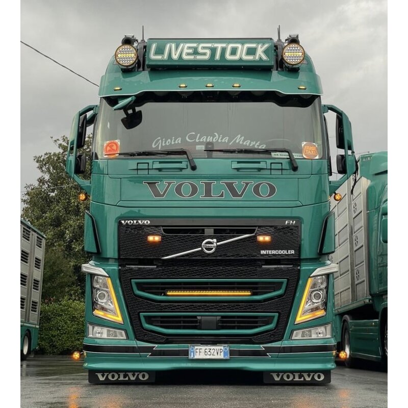 TruckStyle Sweden-solskydd, Volvo FH4/FH5 