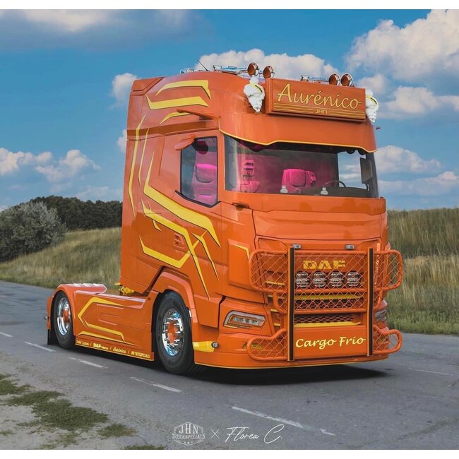 Solarguard Windscreenguard DAF XF/XG/XG+