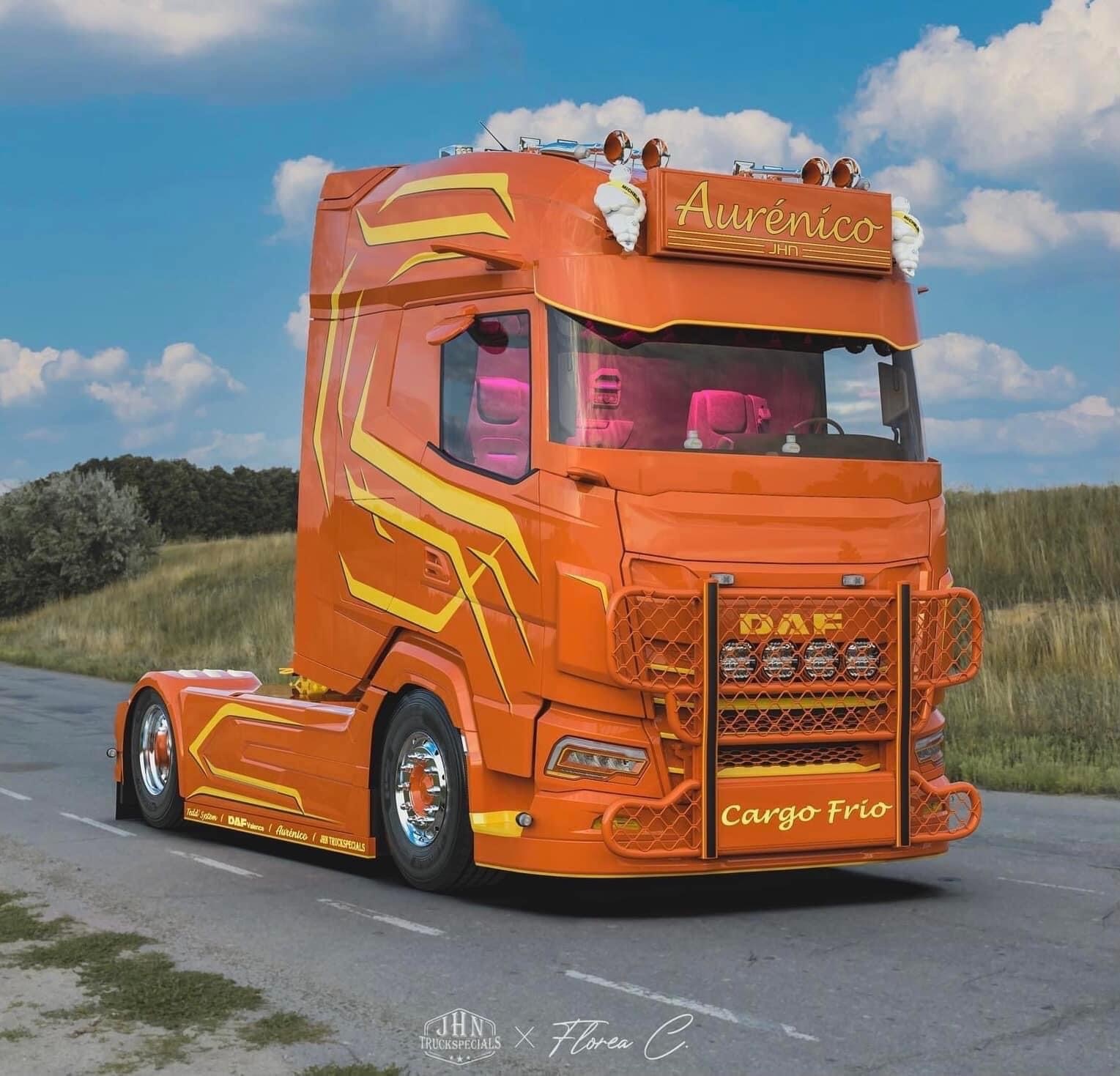 Windschutzscheibenschutz DAF XF/XG/XG+