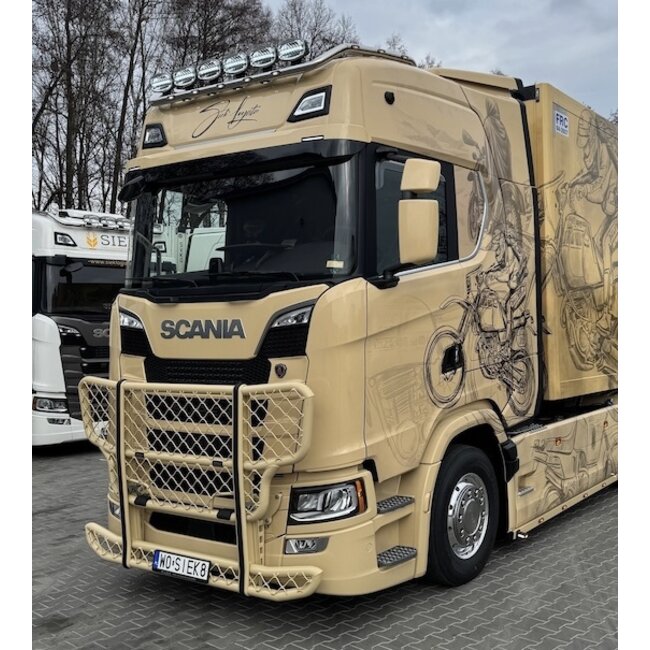 Trux kængurugitter til Scania NG!