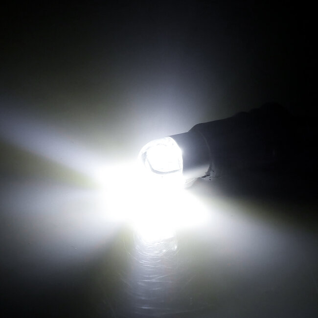 Diody LED T10 (zestaw)