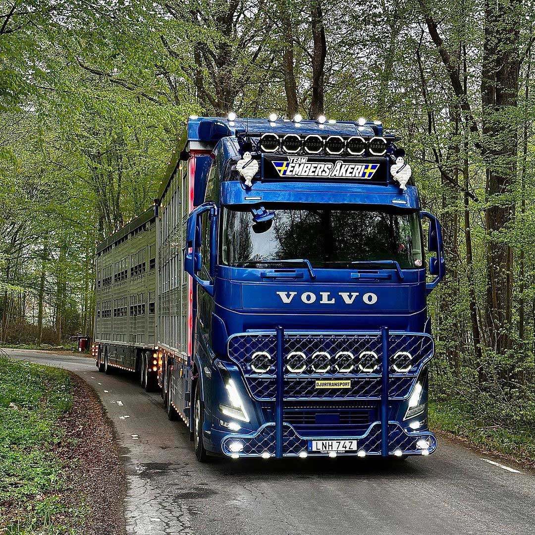 Osłona przeciwsłoneczna TruckStyle Sweden do Volvo FH4/FH5/Aero