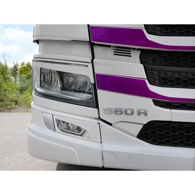 Tågelygter Vrede øjne Scania NG