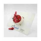 Battery Selector Switch for 2 Batteries - Cup Mount