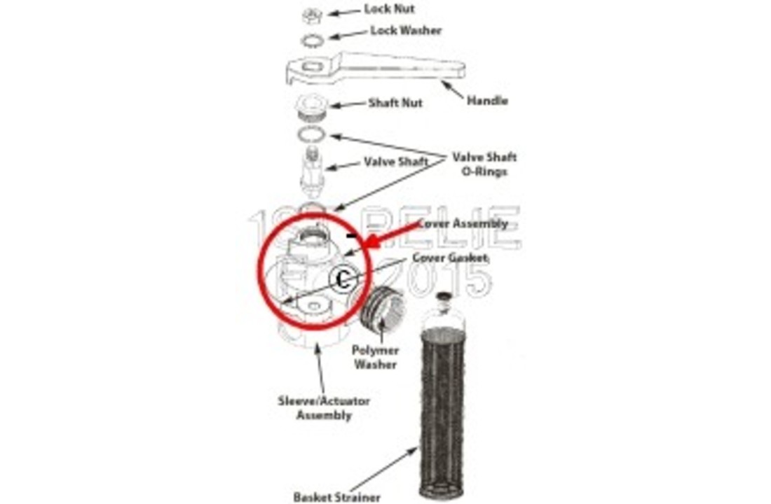 Colador de lavado de agua dulce - Conjunto de cubierta de repuesto