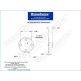 VersaChock - Schroefplaat met schroefdraad - 50 mm buitendiameter/M10-draad - 316 roestvrij staal (inclusief achterplaat)