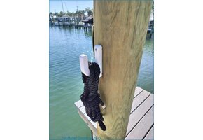 Soporte para mástil de línea de muelle y bichero