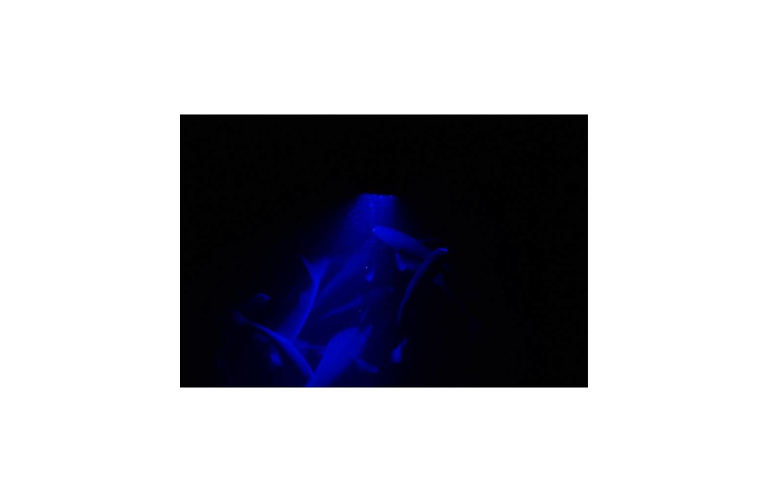 Conus MST0680 hoogvermogen LED onderwater verlichting ontworpen als schuine afgeknotte kegel