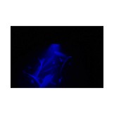 Conus MST0680 highpower LED underwater light designed as sloped truncated cone