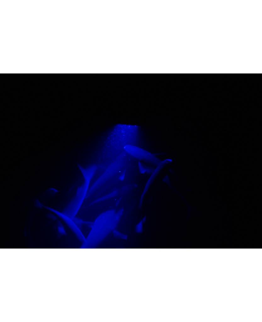 Conus MST18240 highpower LED sous-marine conçue comme cône tronqué en pente