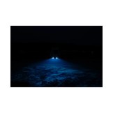 Lampe sous-marine à LED convexe MST0680 pour surface standard à l'arrière de la coque
