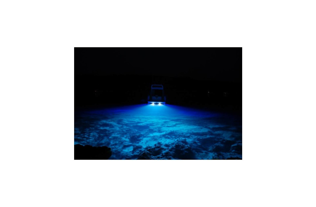 luce subacquea Targa MFM0680 LED per l'installazione a incasso