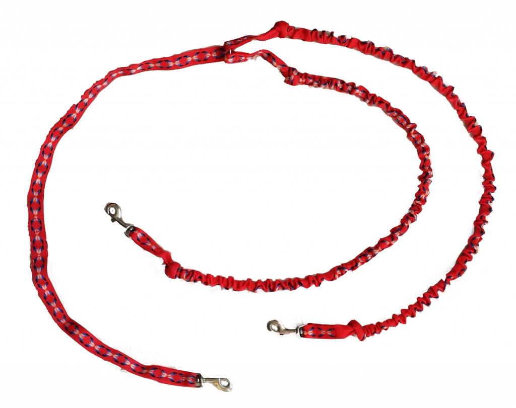 Northern Howl Double Lead with Integrated Shock Absorber for 2 Dogs - Red