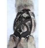 Northern Howl Northern Howl Hunde Zuggeschirr X-Back Schwarz für Zughundesport