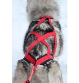 Weight Pulling Dog Harness, X - Back Style - RED + Leash
