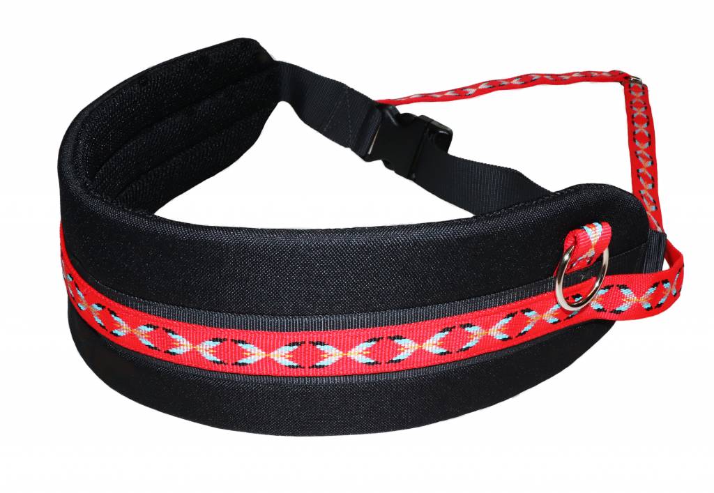dog jogging belt