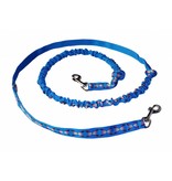 Northern Howl Hands free Dog Leash with integrated Bungee - blue