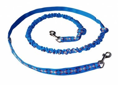 Skijoring Joring Leash