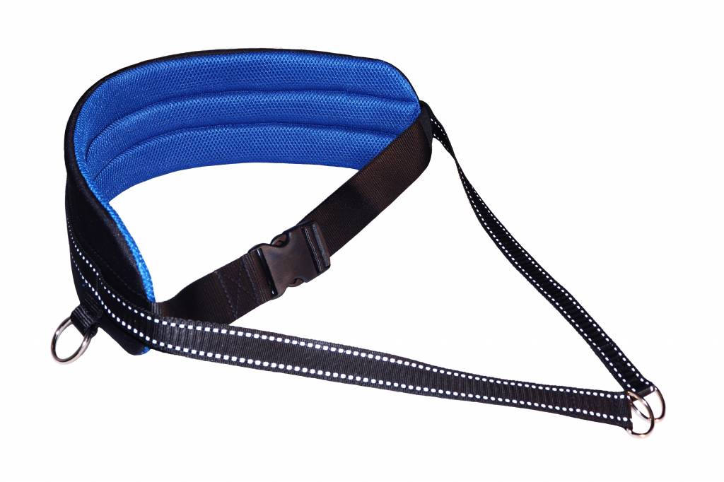 hands free dog walking belt