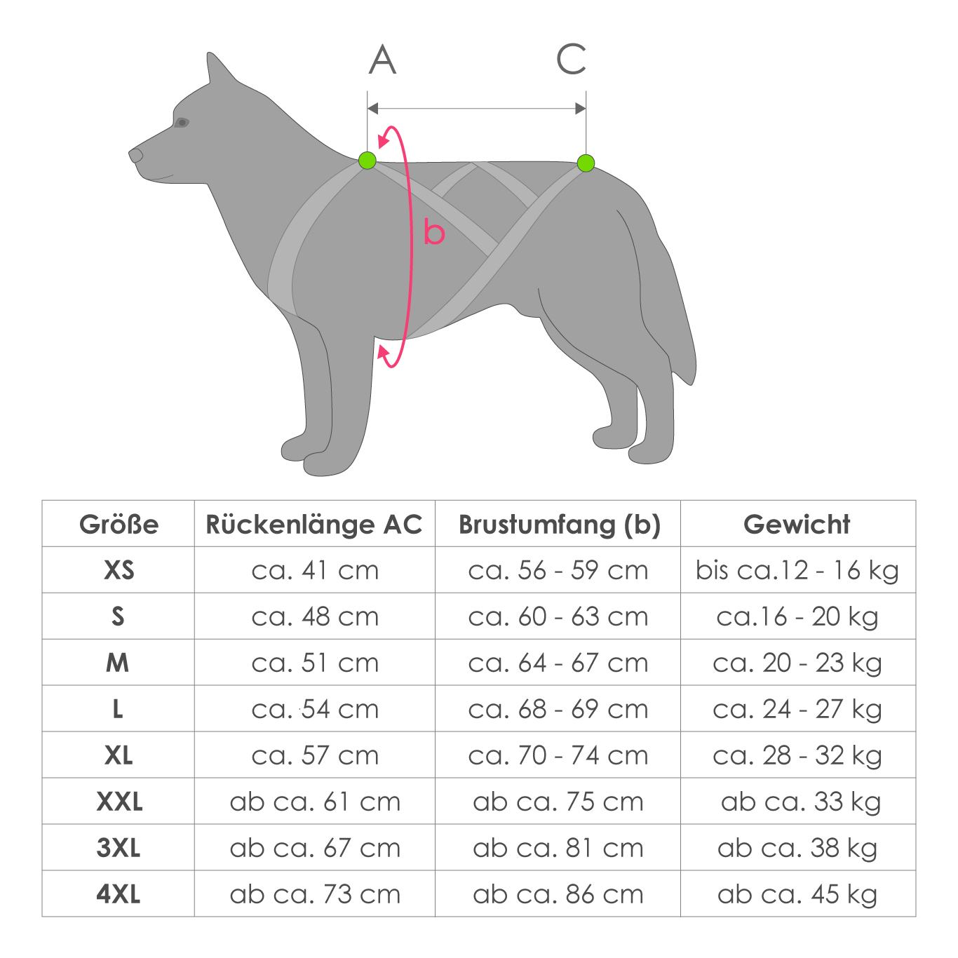 LASALINE Harnais de Traction pour Chien, x-Back Harnais canicross, Harnais  Chien Velo, Harnais cani VTT, Harnais Chien de traineau - Noir Orange Fluo  : : Animalerie