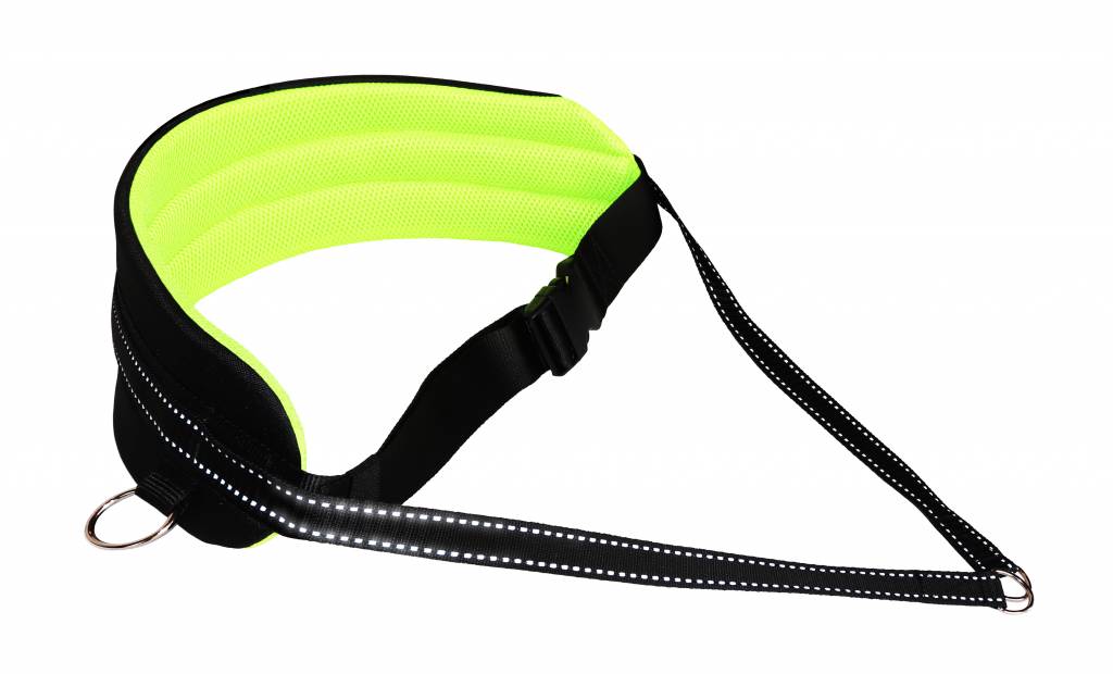 LASALINE Handsfree Dog Walking Running Jogging Waist Belt - Neonyellow Pedding/black