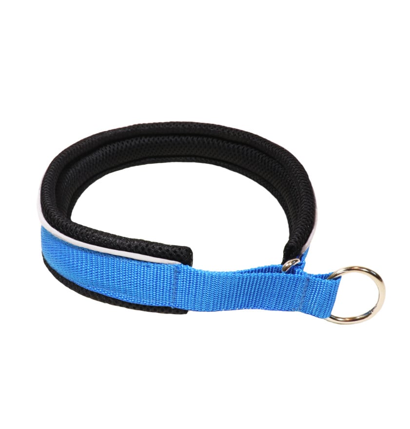Northern Howl Martingale Training Dog Collar-blue/black