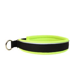 Northern Howl Martingale Training Dog Collar-black/neon yellow