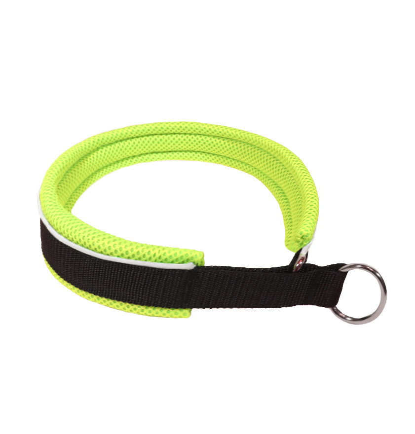 Northern Howl Martingale formation collier de chien-noir/jaune fluo